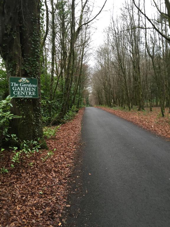 Leitrim Inn Carrick on Shannon Екстериор снимка